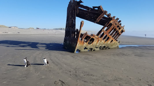 Ship wreck, Fort Stevens