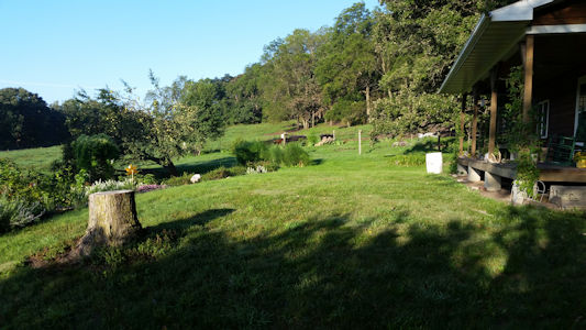 Haub Farm
