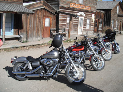 Cope hawgs in Virginia City Montana
