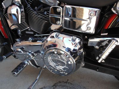 Live to ride, ride to live