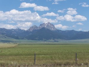2008 - Driggs Idaho BGF