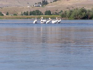 2009 - Missouri River Kayak