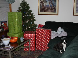 Christmas - 2009