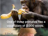 c3d036164da88e1513d8e75676da4ca2